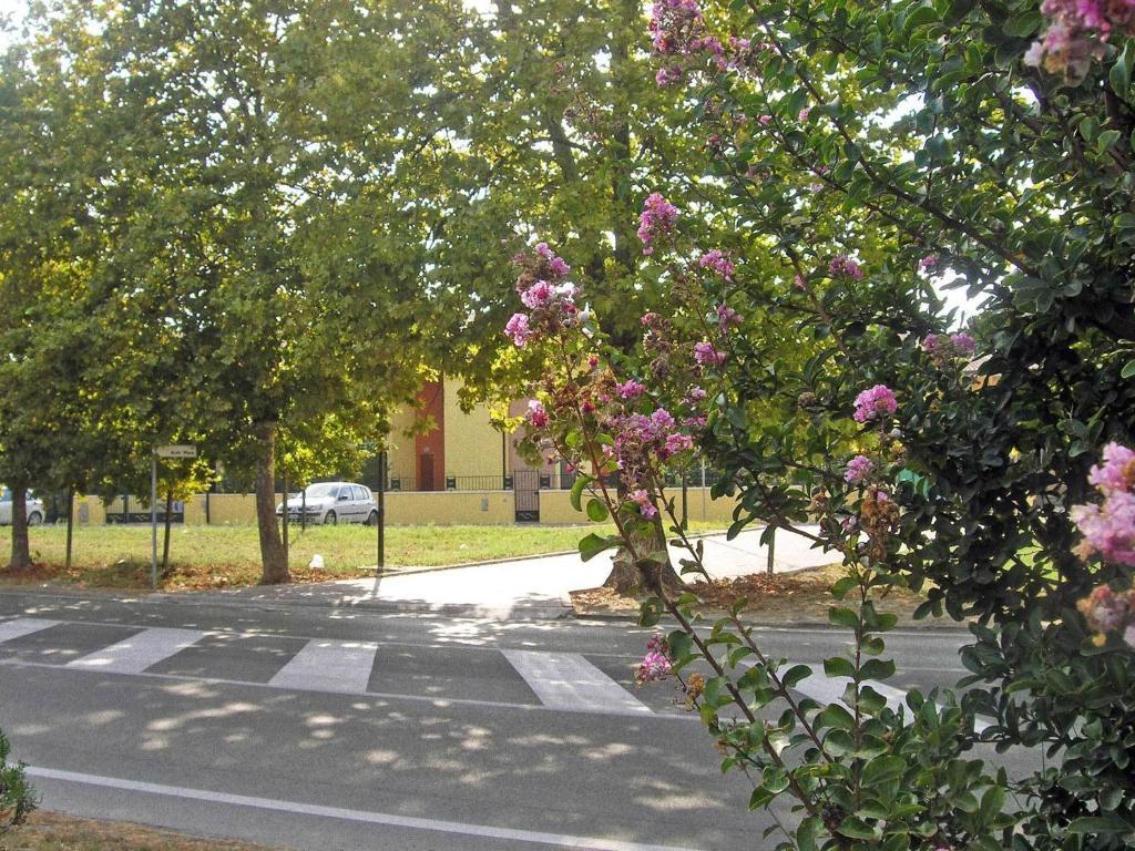 Residence Mediterraneo Lido delle Nazioni Δωμάτιο φωτογραφία